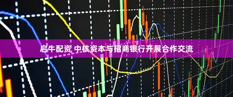 启牛配资 中核资本与招商银行开展合作交流