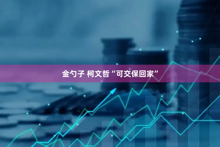金勺子 柯文哲“可交保回家”