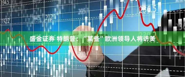 盛金证券 特朗普：“某些”欧洲领导人将访美